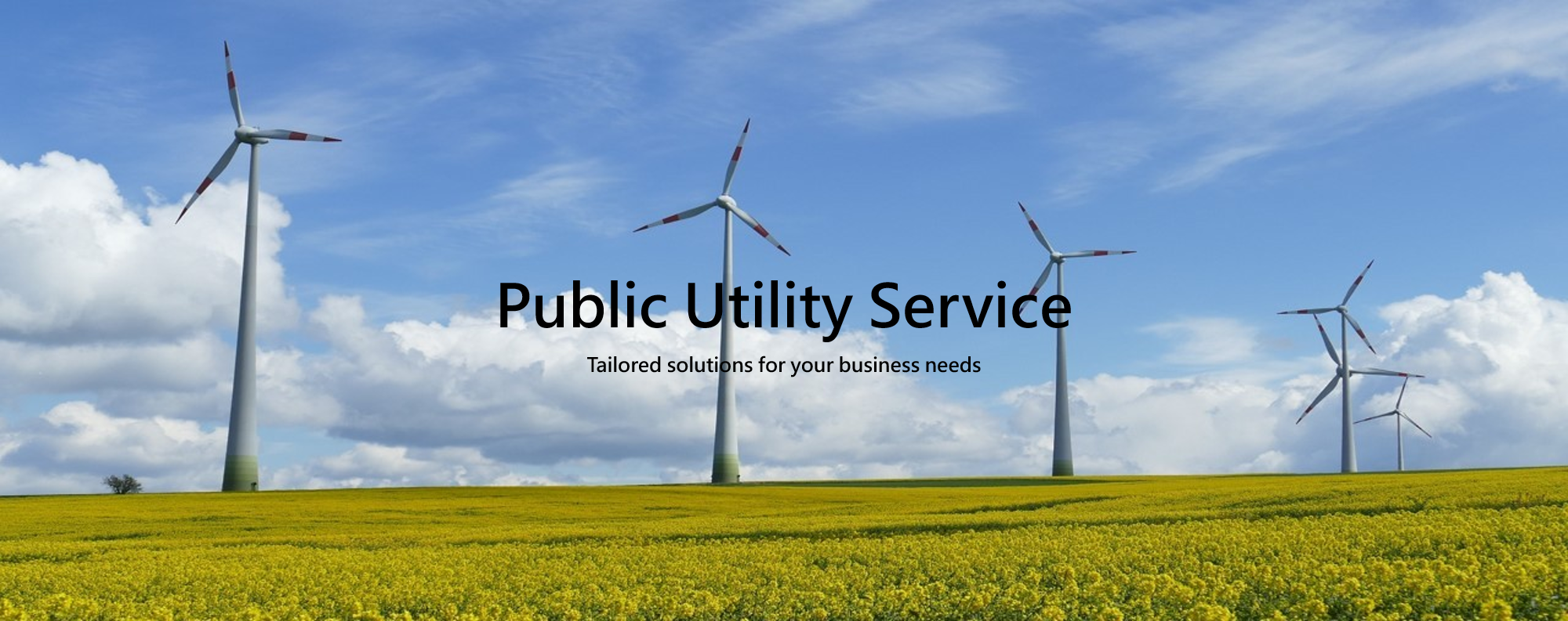 Public Utility Solution Flat